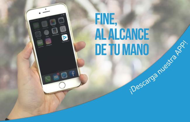 Ver imagen